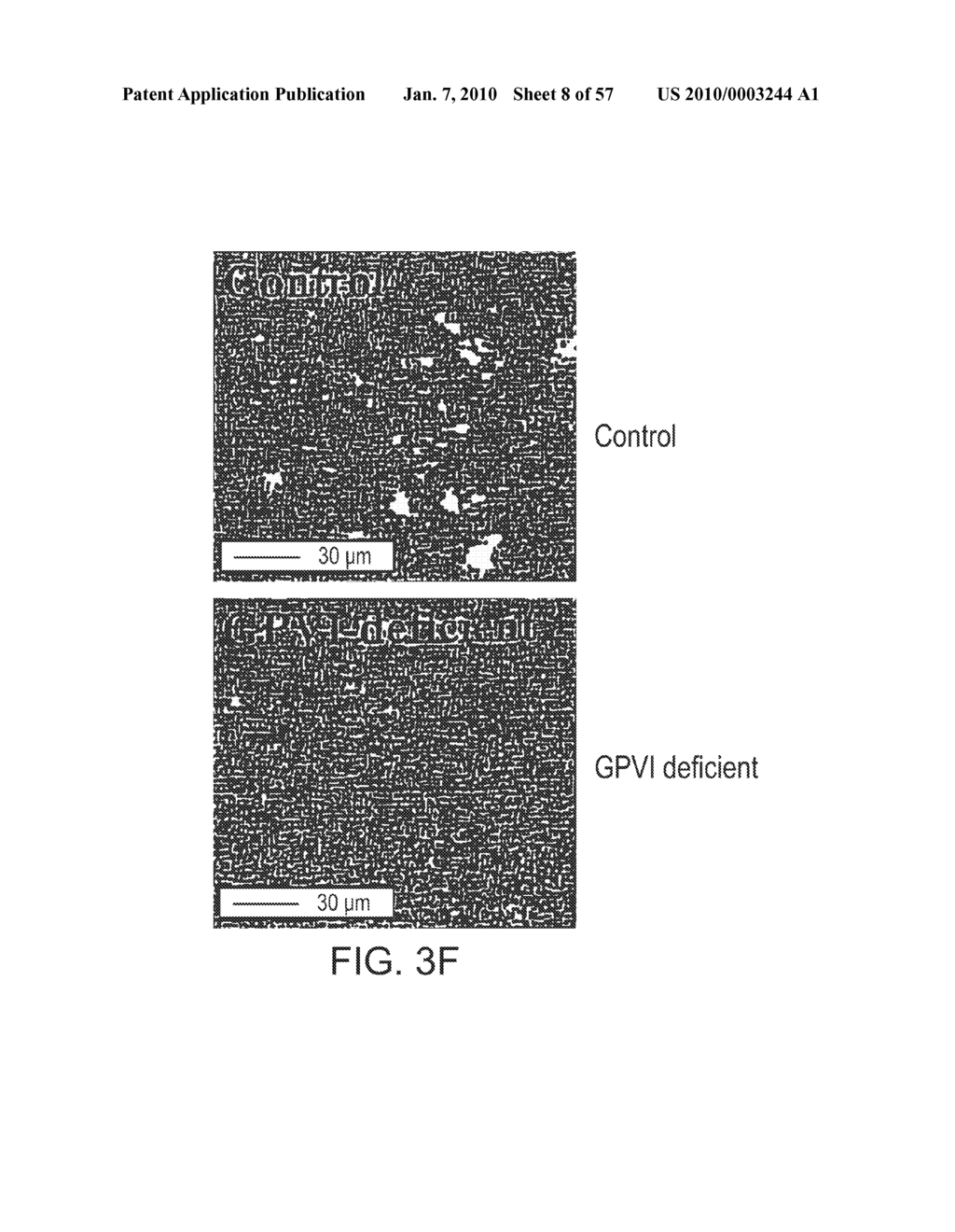 AGENTS WHICH BIND TO EPITOPES OF GLYCOPROTEIN VI - diagram, schematic, and image 09