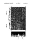 GENE EXPRESSION PATTERN PREDICTIVE FOR COLORECTAL CARCINOMAS diagram and image