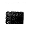 Use of TGF-Beta Antagonists in Treatment of Parathyroid-Related Disorders diagram and image