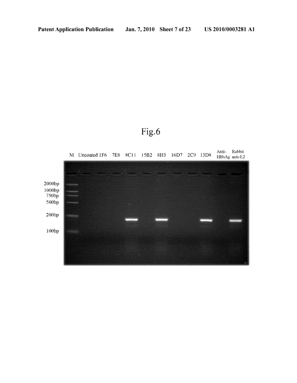 MONOCLONAL ANTIBODY AGAINST HEPATITIS E VIRUS OR ITS FRAGMENT WITH BINDING ACTIVITY AND USE THEREOF - diagram, schematic, and image 08