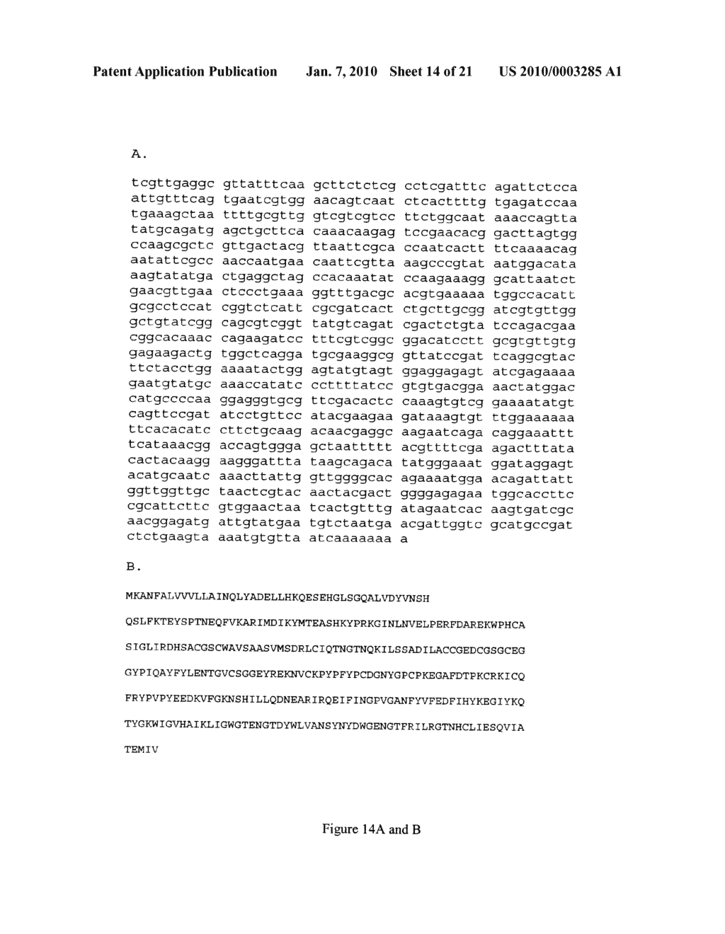 Human Hookworm Vaccine - diagram, schematic, and image 15