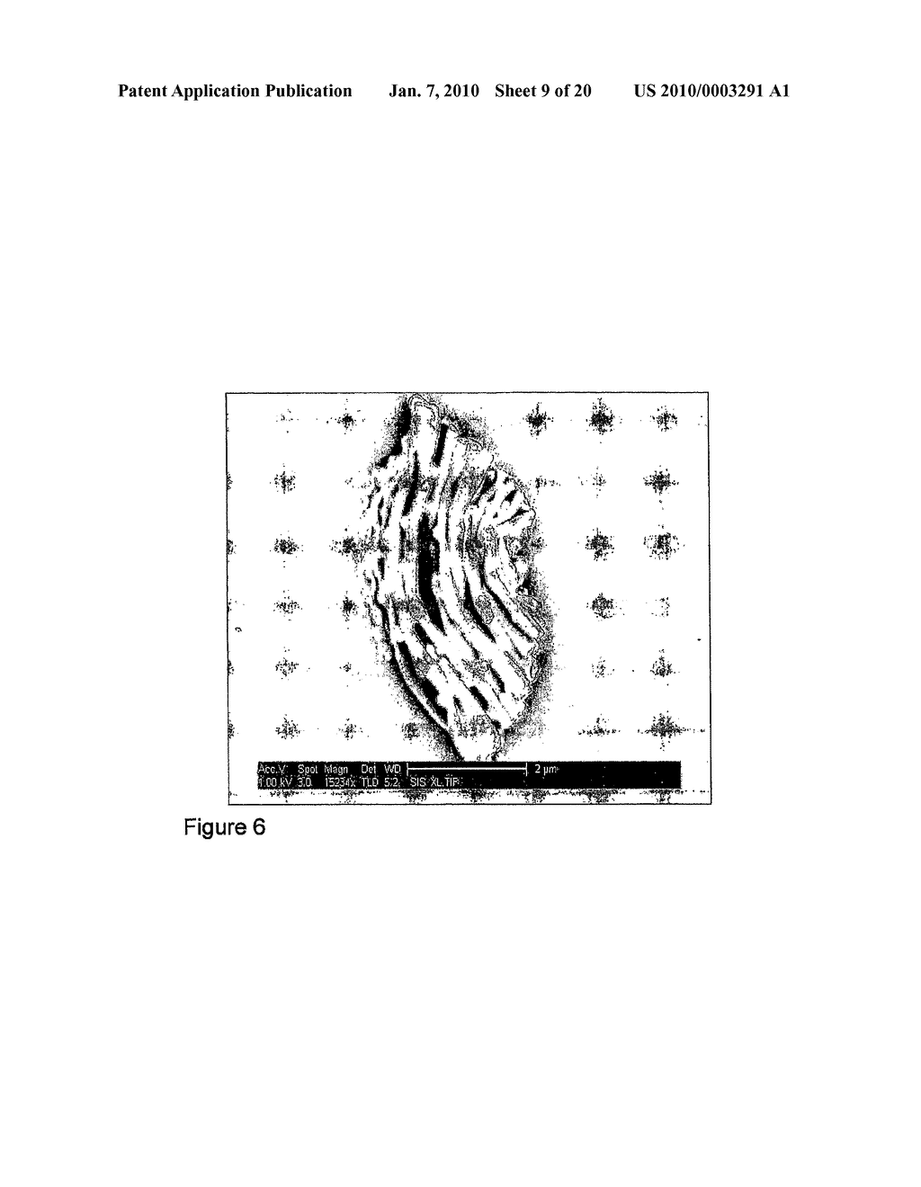 NANO-PARTICLES FOR COSMETIC APPLICATIONS - diagram, schematic, and image 10