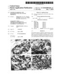 METHOD OF IMPROVING THE OSTEOINDUCTIVITY OF CALCIUM PHOSPHATE diagram and image