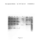 Cloning, expression and use of acid phospholipases diagram and image