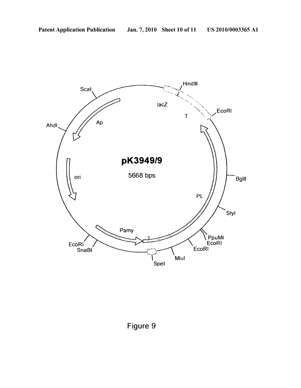 Cloning, expression and use of acid phospholipases - diagram, schematic, and image 11