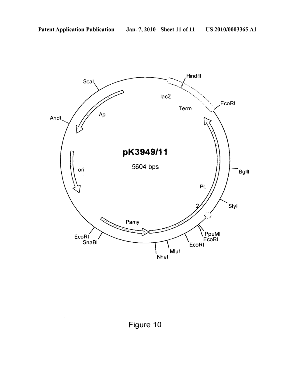 Cloning, expression and use of acid phospholipases - diagram, schematic, and image 12