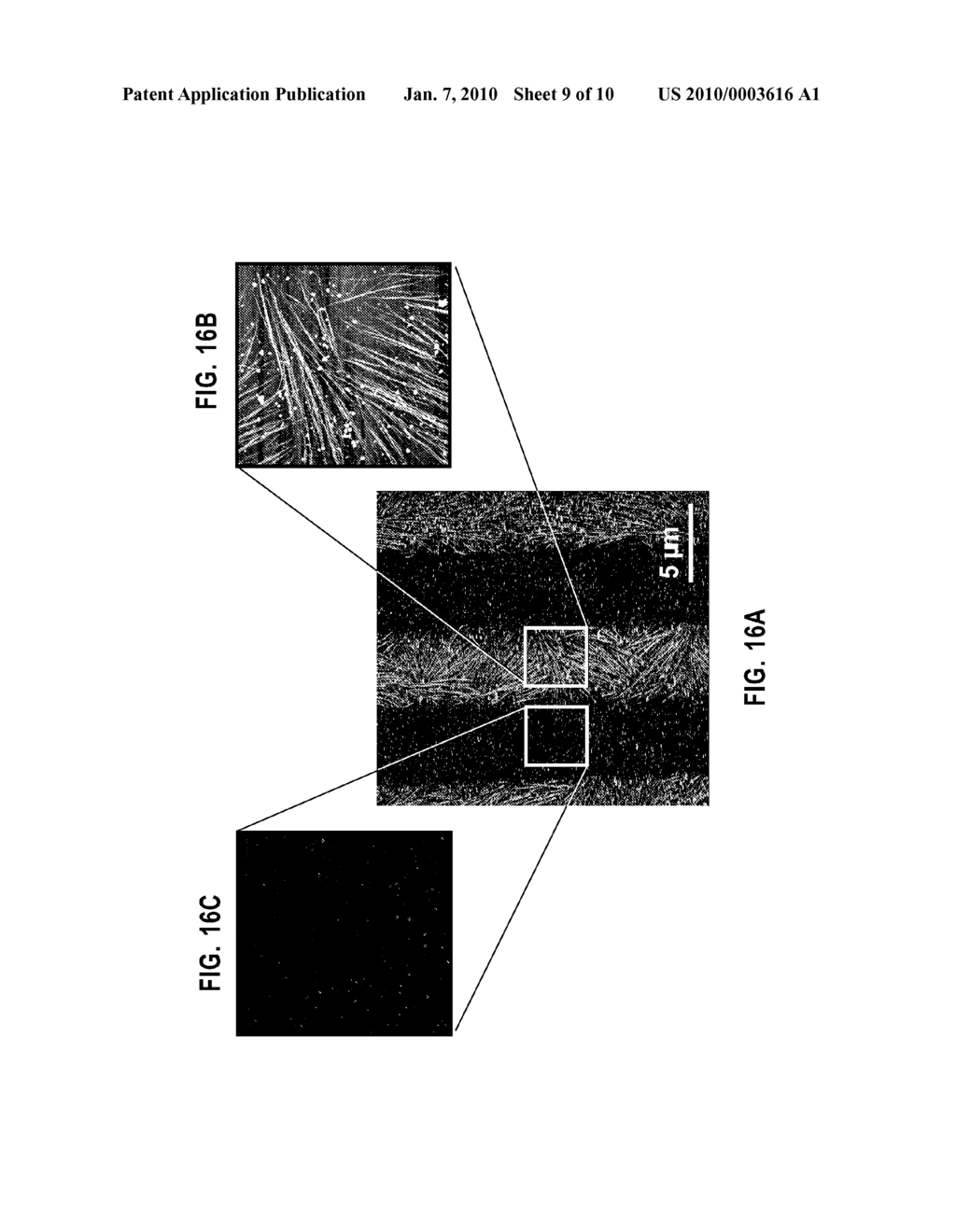 PHOTOSENSITIVE SELF-ASSEMBLED MONOLAYER FOR SELECTIVE PLACEMENT OF HYDROPHILIC STRUCTURES - diagram, schematic, and image 10