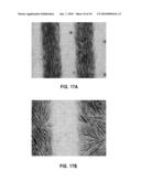 PHOTOSENSITIVE SELF-ASSEMBLED MONOLAYER FOR SELECTIVE PLACEMENT OF HYDROPHILIC STRUCTURES diagram and image