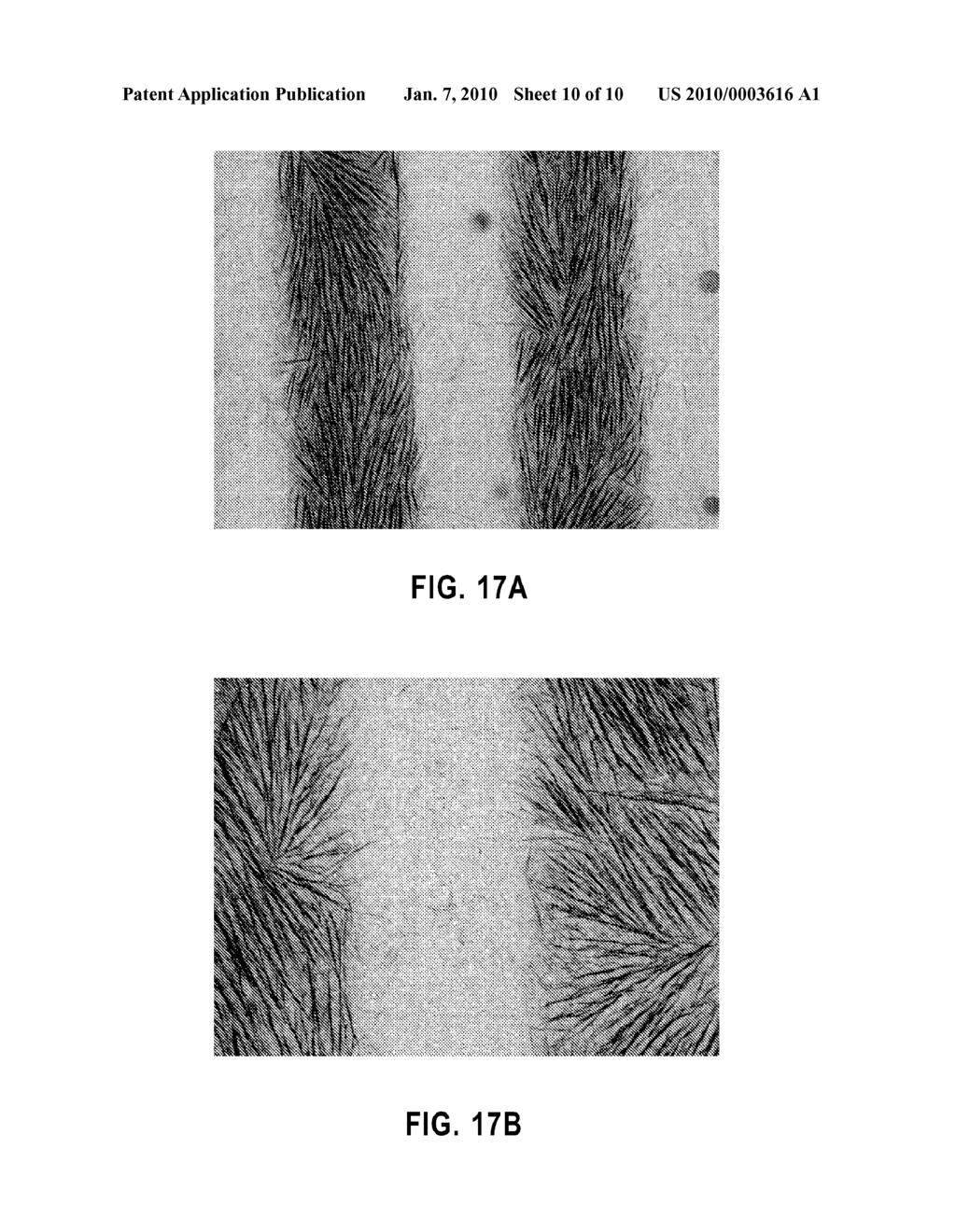 PHOTOSENSITIVE SELF-ASSEMBLED MONOLAYER FOR SELECTIVE PLACEMENT OF HYDROPHILIC STRUCTURES - diagram, schematic, and image 11