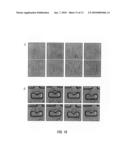 Microfluidic Methods for Diagnostics and Cellular Analysis diagram and image