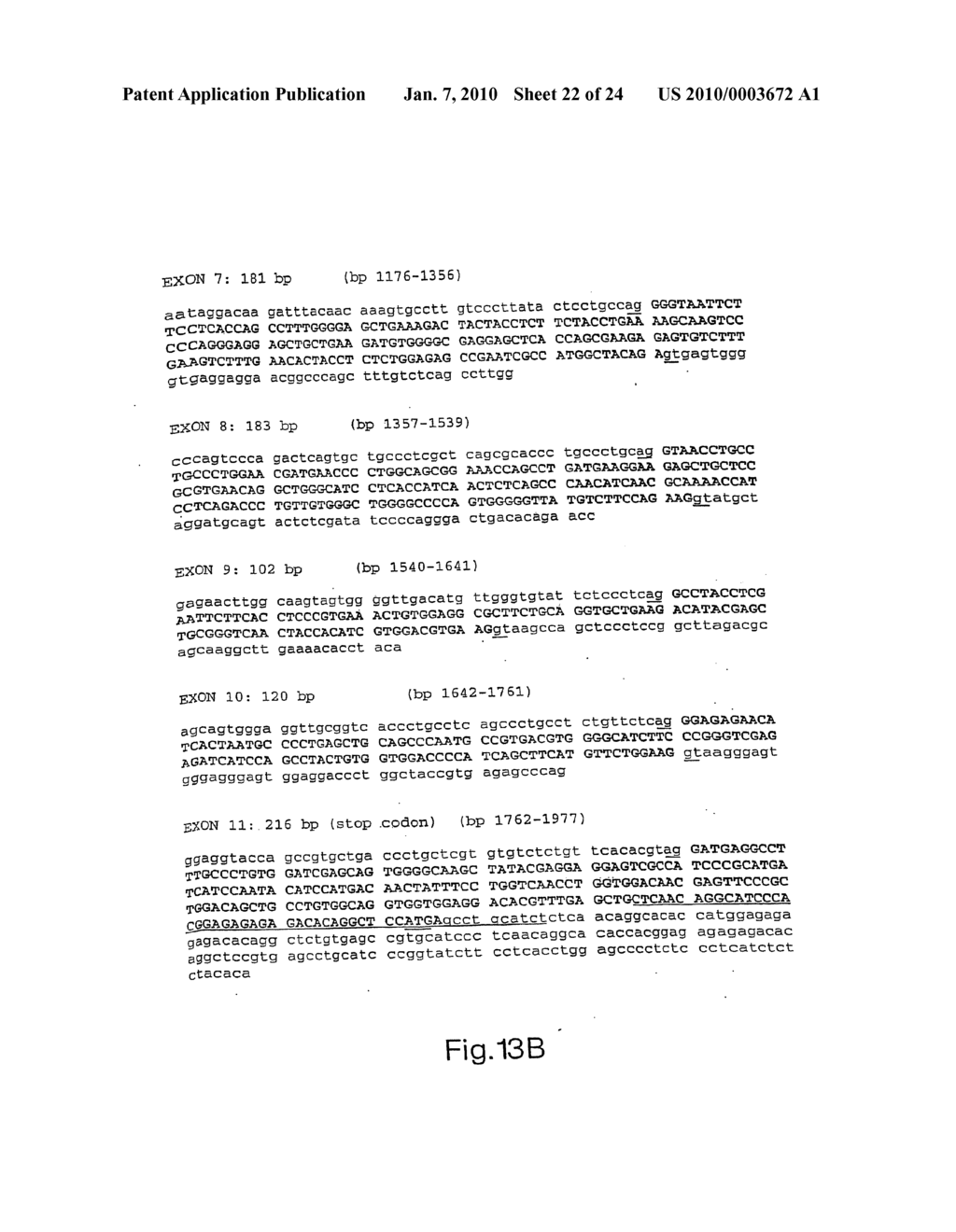 CDNA FOR HUMAN METHYLENETETRAHYDROFOLATE REDUCTASE AND USES THEREOF - diagram, schematic, and image 23