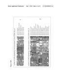 Adult stem cells, molecular signatures, and applications in the evaluation, diagnosis, and therapy of mammalian conditions diagram and image