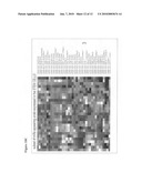 Adult stem cells, molecular signatures, and applications in the evaluation, diagnosis, and therapy of mammalian conditions diagram and image