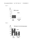 GENE POLYMORPHISM USEFUL FOR ASSISTANCE/THERAPY FOR SMOKING CESSATION diagram and image