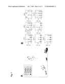 Use of Methylation Status of MINT Loci as a Marker for Rectal Cancer diagram and image