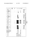 Kit of Materials for Decreasing Interference in Results of Immunochemical Methods diagram and image