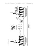 Electrochemical Assay for the Detection of Enzymes diagram and image