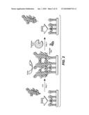 Electrochemical Assay for the Detection of Enzymes diagram and image