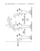 Electrochemical Assay for the Detection of Enzymes diagram and image
