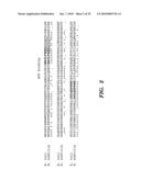 ENZYME DERIVED FROM THERMOPHILIC ORGANISMS THAT FUNCTIONS AS A CHROMOSOMAL REPLICASE, AND PREPARATION AND USES THEREOF diagram and image