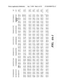 ENZYME DERIVED FROM THERMOPHILIC ORGANISMS THAT FUNCTIONS AS A CHROMOSOMAL REPLICASE, AND PREPARATION AND USES THEREOF diagram and image