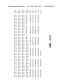 ENZYME DERIVED FROM THERMOPHILIC ORGANISMS THAT FUNCTIONS AS A CHROMOSOMAL REPLICASE, AND PREPARATION AND USES THEREOF diagram and image