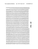 ENZYME DERIVED FROM THERMOPHILIC ORGANISMS THAT FUNCTIONS AS A CHROMOSOMAL REPLICASE, AND PREPARATION AND USES THEREOF diagram and image