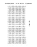 ENZYME DERIVED FROM THERMOPHILIC ORGANISMS THAT FUNCTIONS AS A CHROMOSOMAL REPLICASE, AND PREPARATION AND USES THEREOF diagram and image