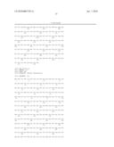 ENZYME DERIVED FROM THERMOPHILIC ORGANISMS THAT FUNCTIONS AS A CHROMOSOMAL REPLICASE, AND PREPARATION AND USES THEREOF diagram and image