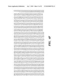 ENZYME DERIVED FROM THERMOPHILIC ORGANISMS THAT FUNCTIONS AS A CHROMOSOMAL REPLICASE, AND PREPARATION AND USES THEREOF diagram and image