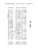 ENZYME DERIVED FROM THERMOPHILIC ORGANISMS THAT FUNCTIONS AS A CHROMOSOMAL REPLICASE, AND PREPARATION AND USES THEREOF diagram and image