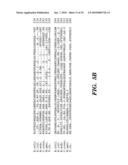 ENZYME DERIVED FROM THERMOPHILIC ORGANISMS THAT FUNCTIONS AS A CHROMOSOMAL REPLICASE, AND PREPARATION AND USES THEREOF diagram and image