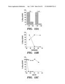 ENZYME DERIVED FROM THERMOPHILIC ORGANISMS THAT FUNCTIONS AS A CHROMOSOMAL REPLICASE, AND PREPARATION AND USES THEREOF diagram and image