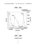 ENZYME DERIVED FROM THERMOPHILIC ORGANISMS THAT FUNCTIONS AS A CHROMOSOMAL REPLICASE, AND PREPARATION AND USES THEREOF diagram and image