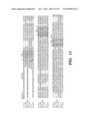 ENZYME DERIVED FROM THERMOPHILIC ORGANISMS THAT FUNCTIONS AS A CHROMOSOMAL REPLICASE, AND PREPARATION AND USES THEREOF diagram and image