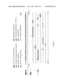 Production of recombinant photosynthetic bacteria which produces molecular hydrogen in a light independent manner and hydrogen evolution method using above strain diagram and image