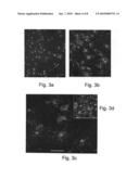 Methods of generating glial and neuronal cells and use of same for the treatment of medical conditions of the cns diagram and image