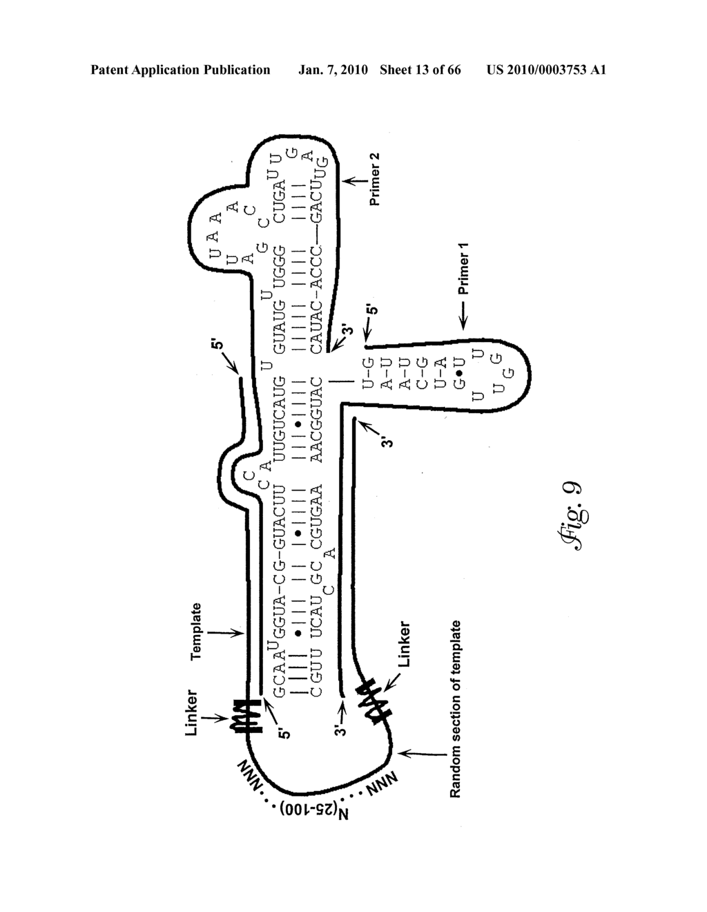 Multivalent rna nanoparticles for delivery of active agents to a cell - diagram, schematic, and image 14