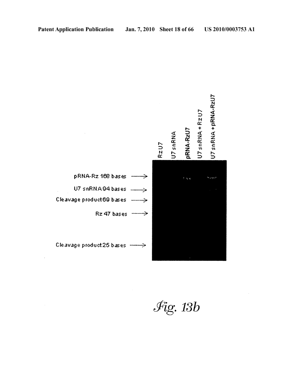 Multivalent rna nanoparticles for delivery of active agents to a cell - diagram, schematic, and image 19