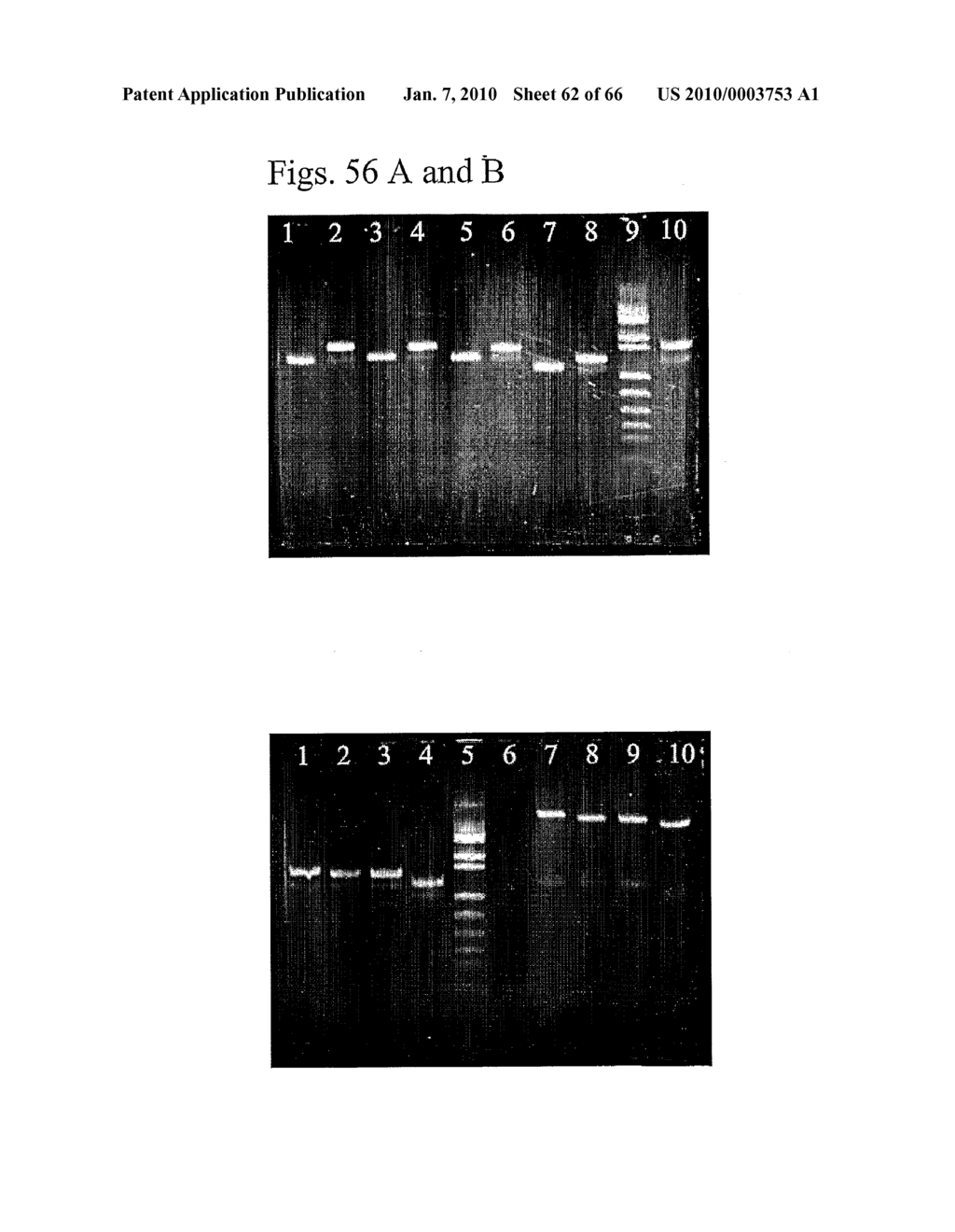 Multivalent rna nanoparticles for delivery of active agents to a cell - diagram, schematic, and image 63