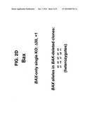 Methods and compositions for generation of Bax-and Bak-deficient cell lines diagram and image