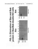 Methods and compositions for generation of Bax-and Bak-deficient cell lines diagram and image