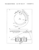 METHODS FOR THE PRODUCTION OF IPS CELLS USING NON-VIRAL APPROACH diagram and image