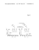 Characterization of biochips containing self-assembled monolayers diagram and image