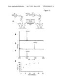 Characterization of biochips containing self-assembled monolayers diagram and image