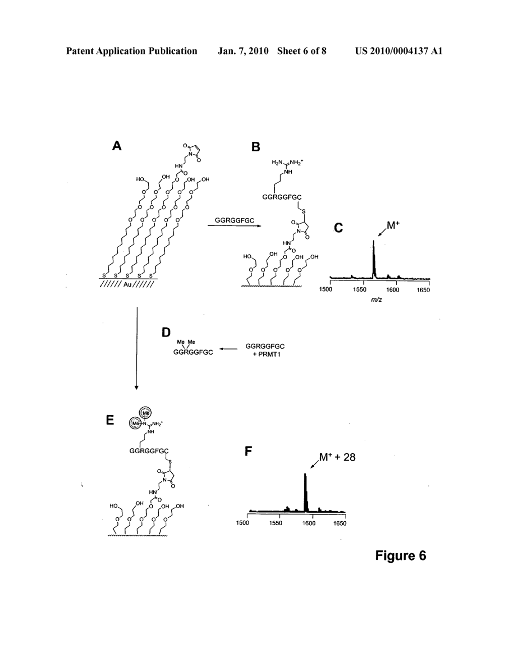 Characterization of biochips containing self-assembled monolayers - diagram, schematic, and image 07