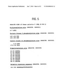 Composition and Uses of a Galectin for Treatment of Dry Eye Syndrome diagram and image