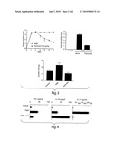 USE OF THYMOSIN ALPHA 1 FOR THE PREPARATION OF A MEDICAMENT FOR THE PREVENTION AND TREATMENT OF AUTOIMMUNE DISEASES diagram and image