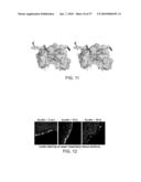 Decoy Influenza Therapies diagram and image