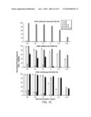 Decoy Influenza Therapies diagram and image